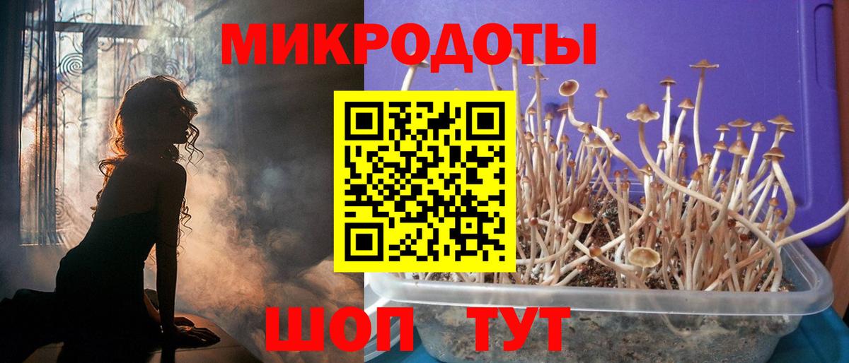 Чернушка  Галлюциногенные грибы мухоморы  Вход с VPN 